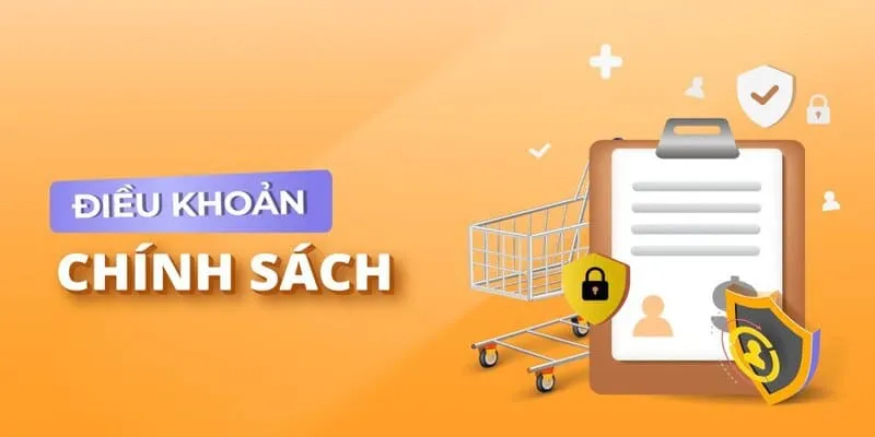 Tầm Quan Trọng của Điều Khoản Sử Dụng